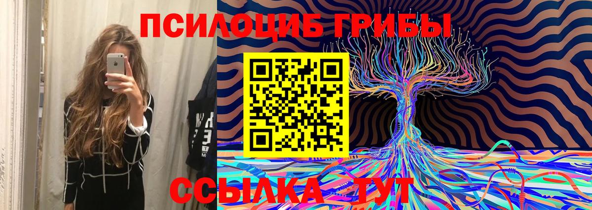 Псилоцибиновые грибы Magic Shrooms  Вход с VPN  Холмск 